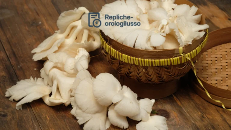 Budidaya Jamur Tiram